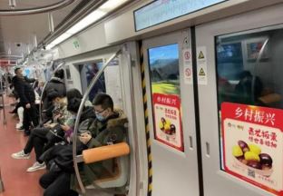 “青龙板栗”登上北京地铁1号线列车